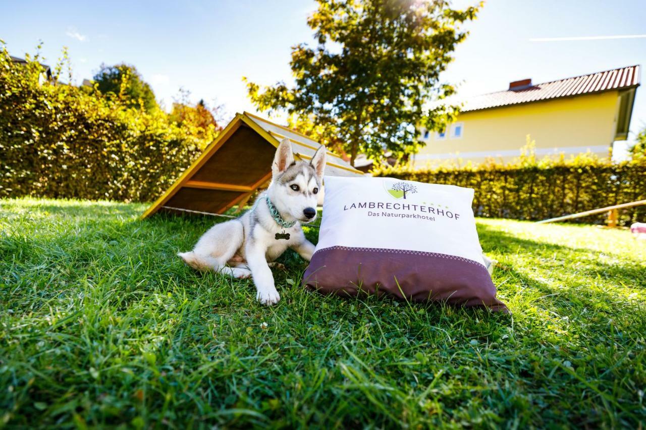 Lambrechterhof - Das Naturparkhotel 圣兰布雷希特 外观 照片